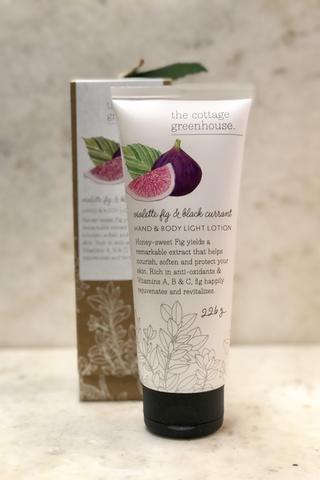 Violette Fig and Black Currant Body Lotion