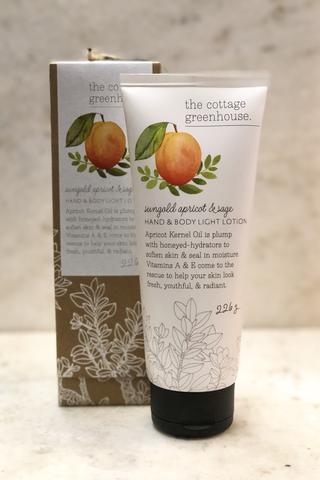 Sungold Apricot & Sage Body Lotion